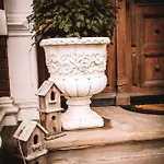 Knoche * Арнсберг
