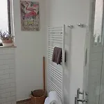 Knoche * Арнсберг