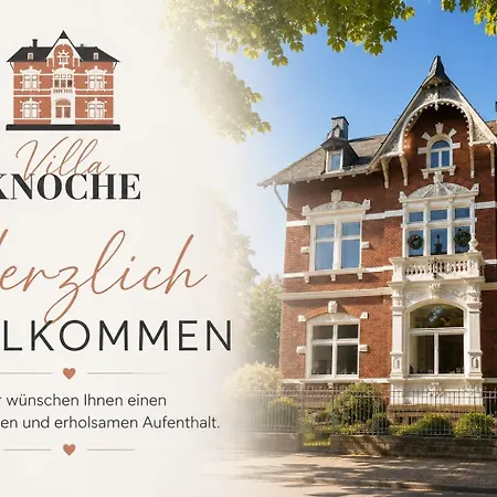 Knoche